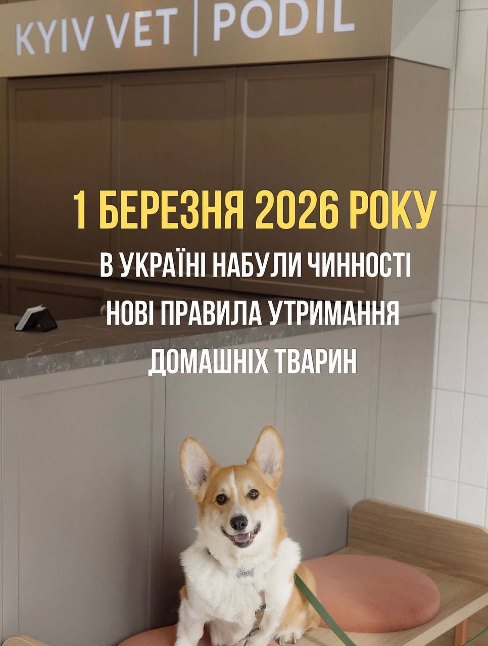 Допис клініки KYIV VET PODIL в Instagram